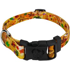 Country Brook Design 1/2 Inch Adjustable Dog Collar for Small, Medium, Large Breeds - Autumn and Fall Collection with Multiple Designs (Brisk Autumn, Large)