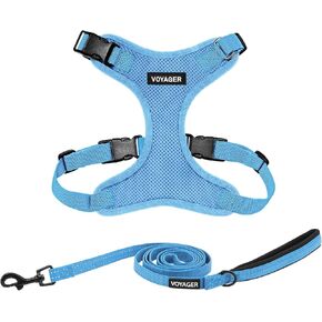 Voyager Step-in Lock Dog Harness w Reflective Dog Leash Combo Set with Neoprene Handle 5ft - Supports Small, Medium and Large Breed Puppies/Cats by Best Pet Supplies - Baby Blue, M