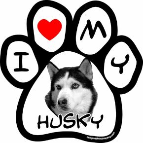 5-1/2-Inch by 5-1/2-Inch Car Magnet Picture Paw, Husky