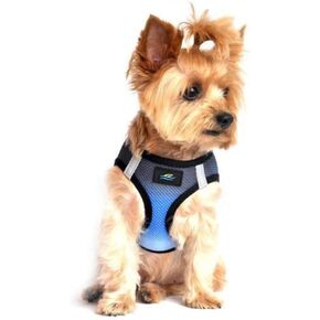 American River Dog Harness Ombre Collection - Midnight Sky Small