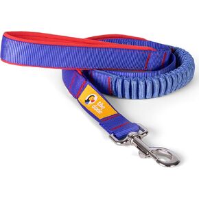 The Dodo Bungee Dog Leash, Blue - Easily Attaches to Any Dog Collar or Harness D-Ring - Two Length Options - Comfortable 4 Feet Walking Leash for All Dogs