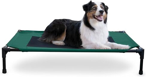 أسرة مهود الكلاب من K&H Pet Products للكلاب الكبيرة - سرير مرتفع للكلاب في الهواء الطلق - سرير تبريد أرجوحة للكلاب المرتفعة - سرير كلب محمول قابل للغسل - إطار معدني متين للخدمة الشاقة، كبير، شبكة خضراء/سوداء in Kuwait