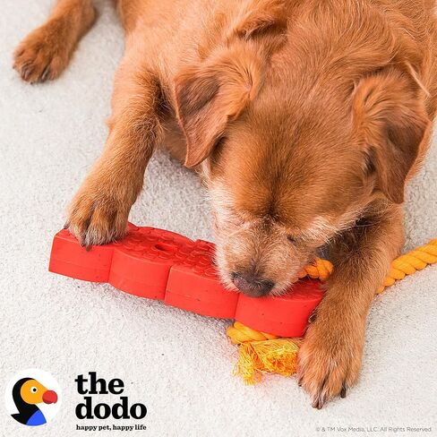 The Dodo Nylon Tasty Chew, Bacon Flavored; Dog Chew Toy with Flavored Center; Enrichment Toys for Dogs, Lasting Toys for Dogs, Activity Chew Toy in Saudi Arabia