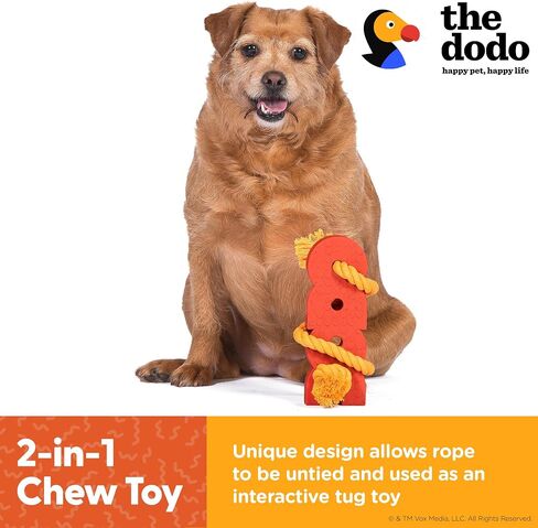 The Dodo Nylon Tasty Chew, Bacon Flavored; Dog Chew Toy with Flavored Center; Enrichment Toys for Dogs, Lasting Toys for Dogs, Activity Chew Toy in Saudi Arabia
