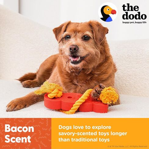 The Dodo Nylon Tasty Chew, Bacon Flavored; Dog Chew Toy with Flavored Center; Enrichment Toys for Dogs, Lasting Toys for Dogs, Activity Chew Toy in Saudi Arabia