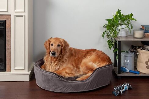 Furhaven Orthopedic Dog Bed for Large Dogs w/ Removable Washable Cover, For Dogs Up to 55 lbs - Plush & Velvet Oval Lounger - Driftwood Brown, XL/Extra Large in Saudi Arabia