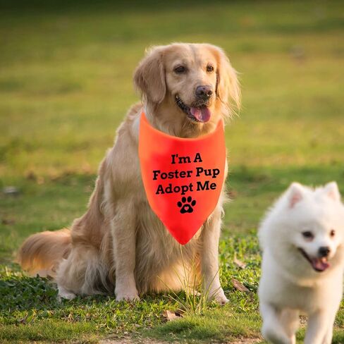 Funny Dog Bandana Anxious Dog Bandana I'm A Foster Pup Adopt Me Bibs Accessories for Pet Birthday Gift Dog Bandanas(I'm A Foster) in Saudi Arabia