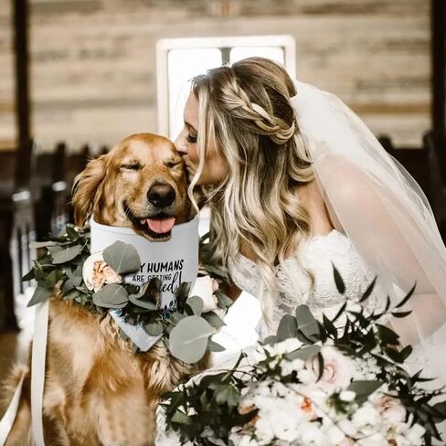 هدايا الخطوبة، YUDANSI Engagement Dog Bandanas 2 Pack، وشاح الحيوانات الأليفة الزفاف، بلدي البشر يتزوجون هدية لمحبي الكلاب، الدعائم الخطوبة لفستان الكلب، كلب صغير متوسط ​​الحجم كبير الحجم in Saudi Arabia