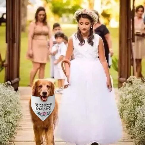 هدايا الخطوبة، YUDANSI Engagement Dog Bandanas 2 Pack، وشاح الحيوانات الأليفة الزفاف، بلدي البشر يتزوجون هدية لمحبي الكلاب، الدعائم الخطوبة لفستان الكلب، كلب صغير متوسط ​​الحجم كبير الحجم in Kuwait