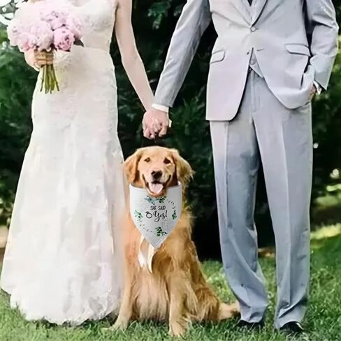 هدايا الخطوبة، YUDANSI Engagement Dog Bandanas 2 Pack، وشاح الحيوانات الأليفة الزفاف، بلدي البشر يتزوجون هدية لمحبي الكلاب، الدعائم الخطوبة لفستان الكلب، كلب صغير متوسط ​​الحجم كبير الحجم in Kuwait