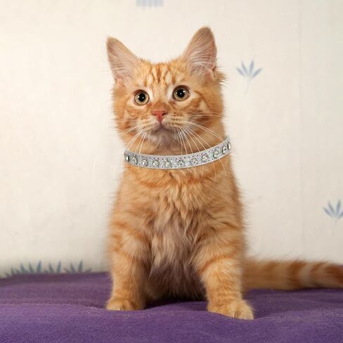 HOWWFALY Pet Bling Accessories Cat and Dog Rhinestone Collar PU Leather Adjustable Collar (Small, Silver) in Saudi Arabia