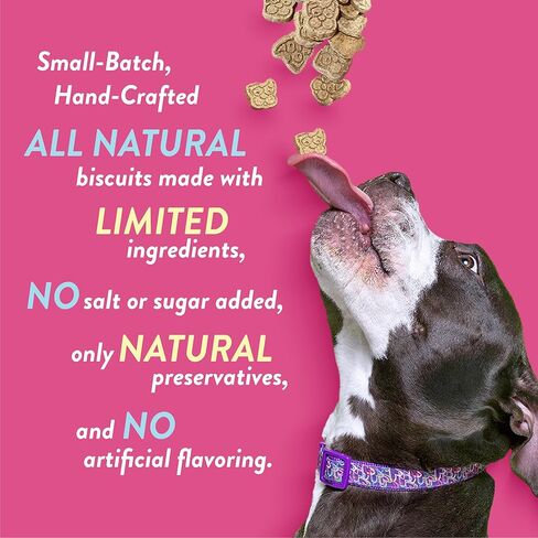 Spunky pup Every Day Biscuit Dog Treats - All-Natural, Handmade in USA, Perfect for Training or Snacking, 24 oz Resealable Pouch- Cheddar Flavor in Kuwait