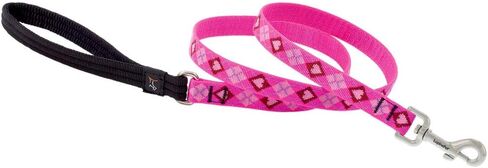 LupinePet Originals 3/4" Puppy Love 6-foot Padded Handle Leash for Medium and Larger Dogs in Saudi Arabia