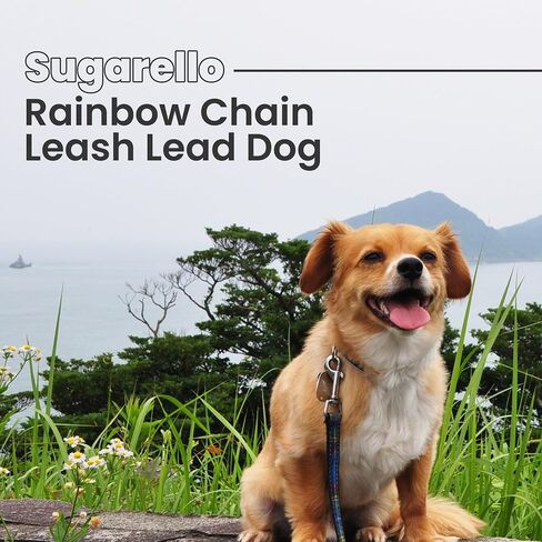 Colorful Rainbow Metal Dog Leash Chain with Handle for Small and Medium Dogs Short Dog Lead, Durable Metal Leash, Dog Leash Handle in Saudi Arabia