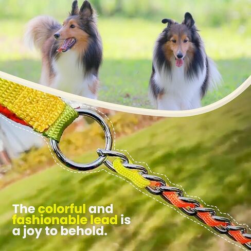 Colorful Rainbow Metal Dog Leash Chain with Handle for Small and Medium Dogs Short Dog Lead, Durable Metal Leash, Dog Leash Handle in Saudi Arabia