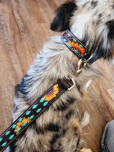Full Grain Leather Dog Collar with Turquoise Sunflower Design - Durable, Comfortable, Adjustable Pet Collar for Small, Medium, and Large Dogs - Stylish and Secure - Medium in Saudi Arabia