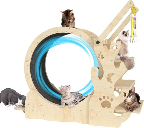 Upgraded Cat Wheel, Cat Exercise Wheel for Indoor Cats, Cat Treadmill with Cat House, Cat Stand, Cat Tree, Cat Bowl, Carpet Run, Cat Amusing Stick, Cat Running Wheel for Kitty's Longer Life in Kuwait