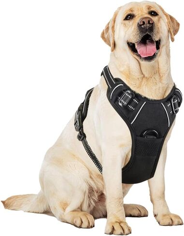 TrekGear Dog Harness, Pet Harness with 2 Leash Clips, Adjustable Soft Padded Dog Vest, Reflective No-Choke Pet Oxford Vest, Easy Control Handle (Pink, Medium) in Saudi Arabia