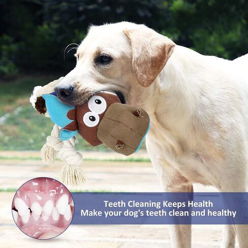 Dog Plush Toy for Large Chewers, Squeaky Toys with Cotton, Dog Chew Toys, blue in Saudi Arabia