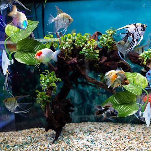 6PCS Betta Fish Aquarium Decoration, Betta Fish Leaf Pad + Fish Feeding Ring+ Betta Fish Acrylic Tube Tunnel,Hideout Ornament for Fish Tank Aquarium Decor in Kuwait