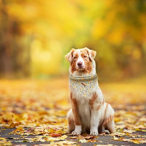 Elegant little tail Fall Dog Bandana, 1PC Girl Boy Dog Bandanas Halloween Bib Scarf Soft Washable Square Dog Scarf Adjustable Dog Kerchief for Small Medium Large Dogs in Saudi Arabia