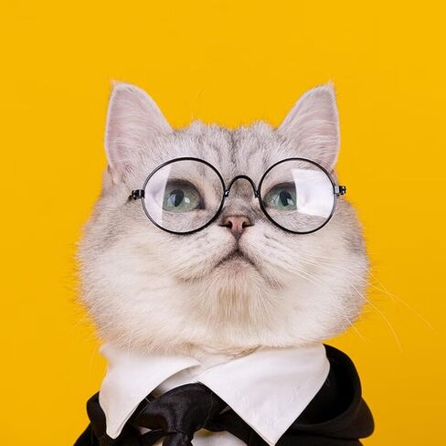 مجموعة أزياء تنكرية للكلاب والقطط مع النظارات وربطات العنق، أزياء الهالوين، قميص ساحر للحيوانات الأليفة، ملابس قطط مضحكة، عباءة رائعة للكلاب والقطط، نظارات ربطة عنق مثالية للحفلات والهدايا للقطط والكلاب والأحمر والأسود in Kuwait