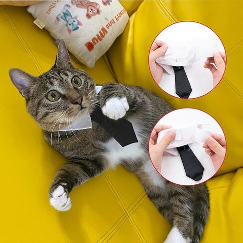 مجموعة أزياء تنكرية للكلاب والقطط مع النظارات وربطات العنق، أزياء الهالوين، قميص ساحر للحيوانات الأليفة، ملابس قطط مضحكة، عباءة رائعة للكلاب والقطط، نظارات ربطة عنق مثالية للحفلات والهدايا للقطط والكلاب والأحمر والأسود in Kuwait