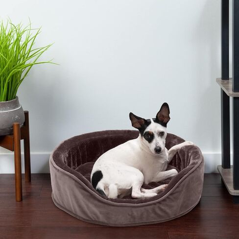 Furhaven Orthopedic Dog Bed for Medium/Small Dogs w/ Removable Washable Cover, For Dogs Up to 18 lbs - Plush & Velvet Oval Lounger - Driftwood Brown, Medium in Saudi Arabia