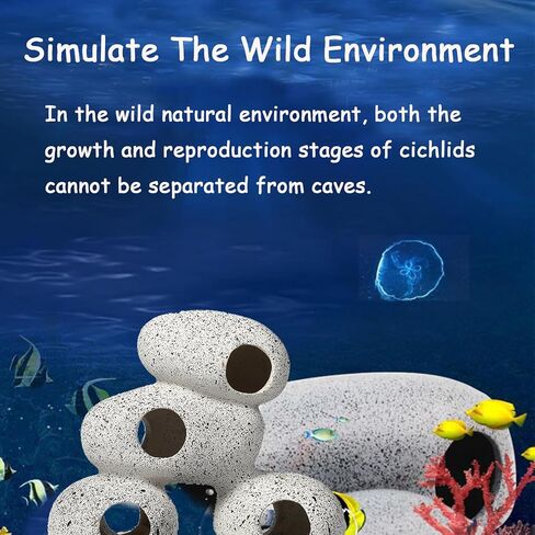 ديكور حوض السمك الكهوف الصخرية بيتا مخبأ سيشليد الراتنج حوض السمك الحجر مخبأ بيتا حوض للأسماك الملحقات الصغيرة مأوى الأسماك لروبيان سيشليد إخفاء تربية التفريخ in Kuwait