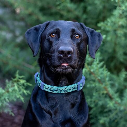 HDE Nylon Dog Collar Adjustable Soft Puppy Collars for Small Medium Large Dogs Ducks - M in Saudi Arabia