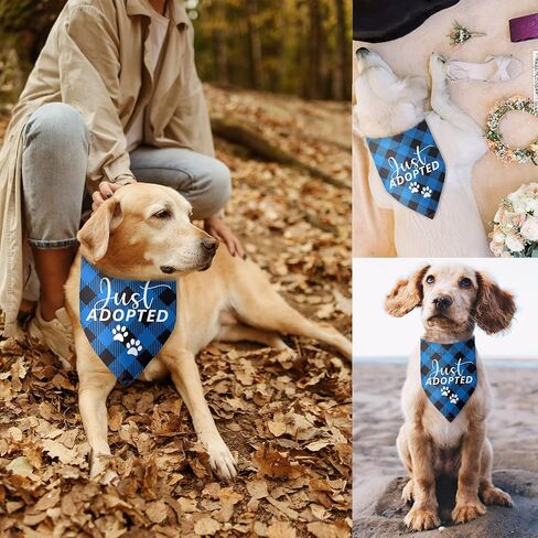 Just Adopted Dog Bandana Adopt Me Bandana Funny Dog Bandana Puppy Bandana Triangle Bibs Scarf Accessories for Small Medium Dogs Pets in Saudi Arabia