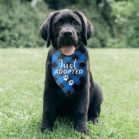 Just Adopted Dog Bandana Adopt Me Bandana Funny Dog Bandana Puppy Bandana Triangle Bibs Scarf Accessories for Small Medium Dogs Pets in Saudi Arabia