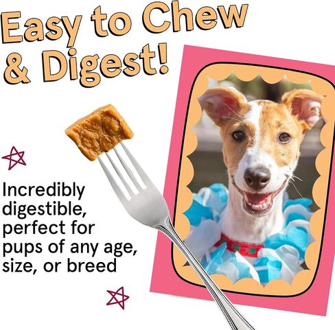Real Meat Boosters Air Dried Dog Food w/Real Chicken & Wild-Caught Salmon for Enhanced Skin & Coat Support - 2lbs of Grain-Free, High Protein, Real Meat Dog Food Enriched w/Organic Coconut Oil in Kuwait