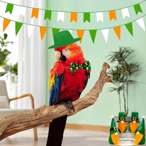 قبعة دجاج لعيد القديس باتريك، زي عطلة الدجاج، زي الدجاج، قبعة خضراء، ربطة عنق لبط الدجاج، أوزة in Kuwait