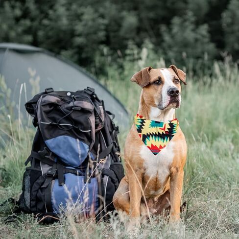 Dog Cooling Bandana, Cooling Bandana for Dogs, Dog Bandanas, Great for girl and boy dogs, large dog and puppy bandanas, Breathable mesh material great for hikes and warm weather (Altitude) in Saudi Arabia