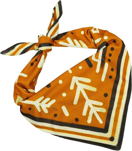 Dog Cooling Bandana, Cooling Bandana for Dogs, Dog Bandanas, Great for girl and boy dogs, large dog and puppy bandanas, Breathable mesh material great for hikes and warm weather (Altitude) in Saudi Arabia