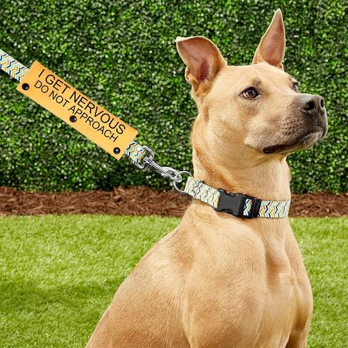 PWHAOO Dot Not Approach Nervous Dog Leash Sleeve Shy Rescue Leash Wrap Nervous Shy Dog Gift (I get Nervous Sleeve) in Saudi Arabia