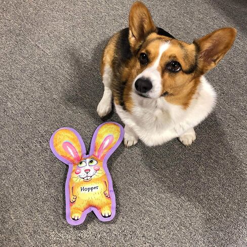 Durable Dog Toy with Squeaker - Floppy Tough Chew Toy, All Ears - Hopper, Small 7 inch in Saudi Arabia