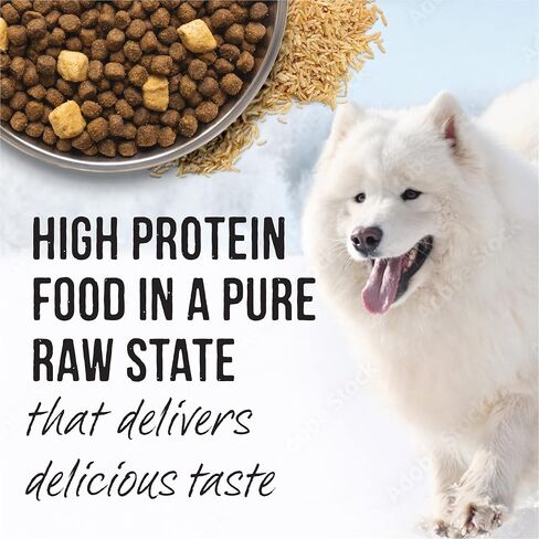 Merrick Backcountry Raw Infused Puppy Food Recipe with Healthy Grains, Freeze Dried Dog Food - 10 lb. Bag in Saudi Arabia