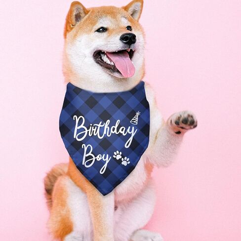 عيد ميلاد صبي كلب عيد ميلاد باندانا مثلث وشاح صور الدعامة الكلب وشاح لحفلة عيد ميلاد الكلب الحيوانات الأليفة الملحقات لهدايا محبي الكلاب هدايا محبي الحيوانات الأليفة in Kuwait