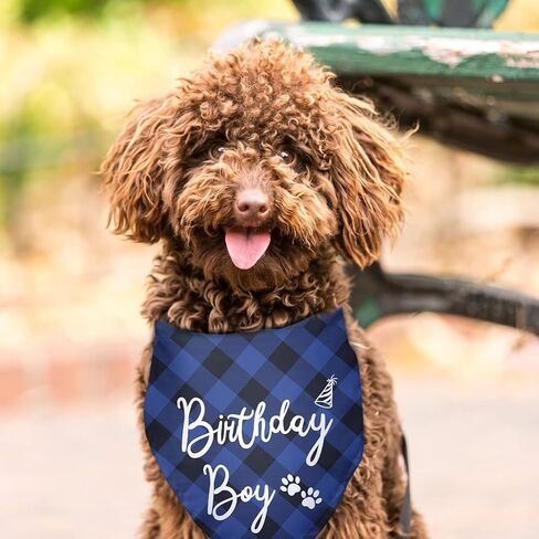 عيد ميلاد صبي كلب عيد ميلاد باندانا مثلث وشاح صور الدعامة الكلب وشاح لحفلة عيد ميلاد الكلب الحيوانات الأليفة الملحقات لهدايا محبي الكلاب هدايا محبي الحيوانات الأليفة in Kuwait