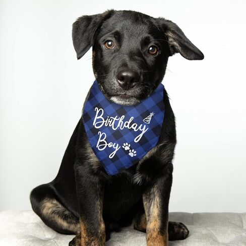 عيد ميلاد صبي كلب عيد ميلاد باندانا مثلث وشاح صور الدعامة الكلب وشاح لحفلة عيد ميلاد الكلب الحيوانات الأليفة الملحقات لهدايا محبي الكلاب هدايا محبي الحيوانات الأليفة in Kuwait