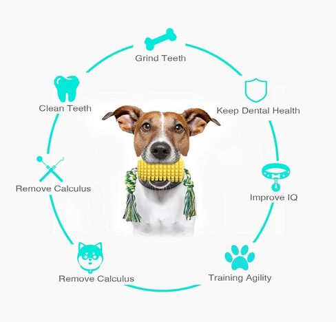 ألعاب مضغ الكلاب، ألعاب تنفيس الكلاب، تنظيف أسنان الكلاب بفرشاة أسنان، ألعاب الذرة التفاعلية، ألعاب الكلاب، أصناف صغيرة ومتوسطة وكبيرة من أدوات المضغ العدوانية in Kuwait
