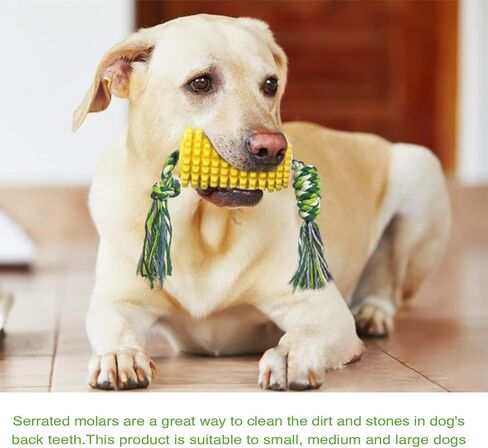 ألعاب مضغ الكلاب، ألعاب تنفيس الكلاب، تنظيف أسنان الكلاب بفرشاة أسنان، ألعاب الذرة التفاعلية، ألعاب الكلاب، أصناف صغيرة ومتوسطة وكبيرة من أدوات المضغ العدوانية in Kuwait