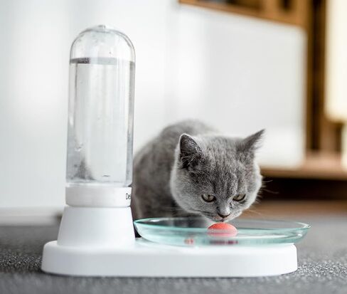 Non-Electric Pet Fountain, No-Filter Cat Fountain Quiet Automatic Pet Drinking Fountain to Keep Your Cats and Dogs with Clean Water Every Day with Glass Plate (Green) in Saudi Arabia
