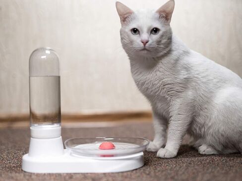 Non-Electric Pet Fountain, No-Filter Cat Fountain Quiet Automatic Pet Drinking Fountain to Keep Your Cats and Dogs with Clean Water Every Day with Glass Plate (Green) in Saudi Arabia