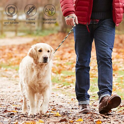 NVTED Waterproof Dog Leash Durable Waterproof Odor Proof Premium PVC Pet Lead Fast Clasp Adjustable Lengths for Traffic Control Safety for Medium Large Dogs - 4ft, Green in Kuwait