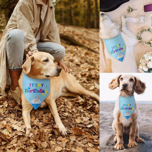 Dog Birthday Bandanas Boy Dog Birthday It's My Birthday Outfit Decorations Scarf Gifts for Birthday Boy Dog Puppy Pet Happy Birthday Blue Dog Bandana Dog First Birthday Party in Saudi Arabia