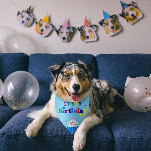 Dog Birthday Bandanas Boy Dog Birthday It's My Birthday Outfit Decorations Scarf Gifts for Birthday Boy Dog Puppy Pet Happy Birthday Blue Dog Bandana Dog First Birthday Party in Saudi Arabia