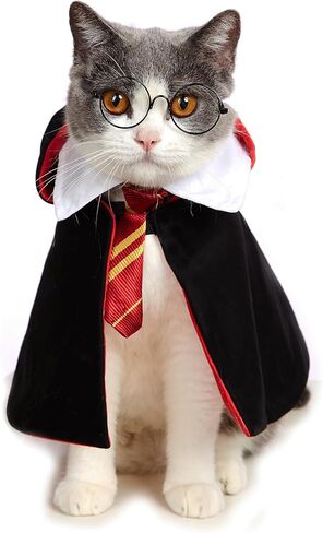 زي الهالوين للقطط، ملابس حيوانات أليفة مضحكة، ملابس تنكرية للكلاب الصغيرة، ملابس للقطط، قمصان للكلاب الصغيرة (M) in Kuwait